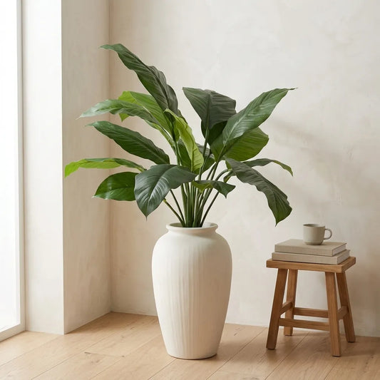 Vredeslelie Lepelplant 'de Luxe'