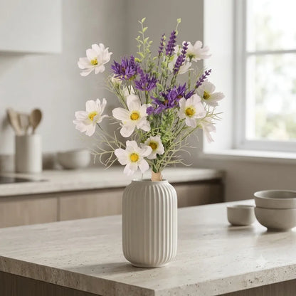 Cosmos Blanc