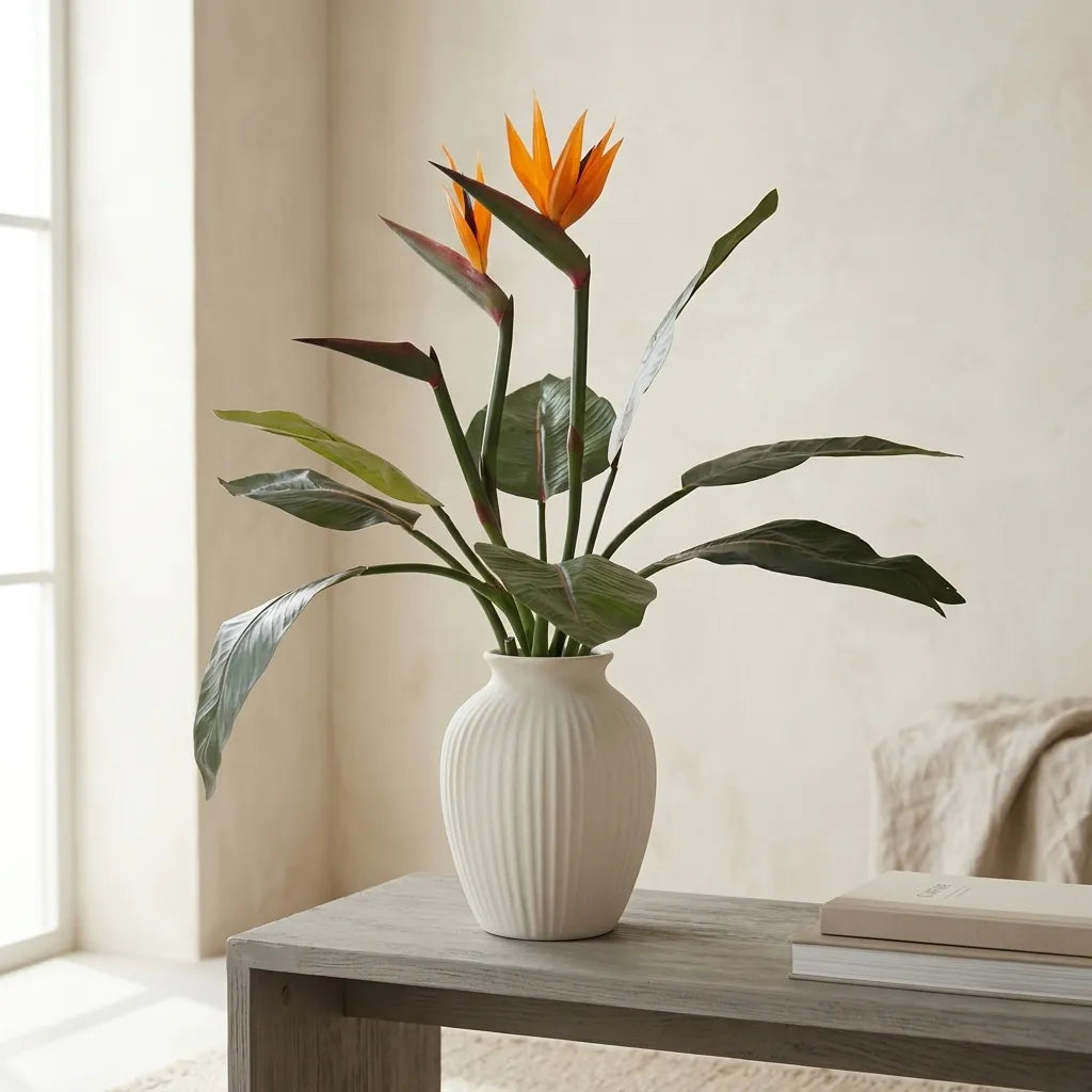 Paradijsvogelplant (Strelitzia)
