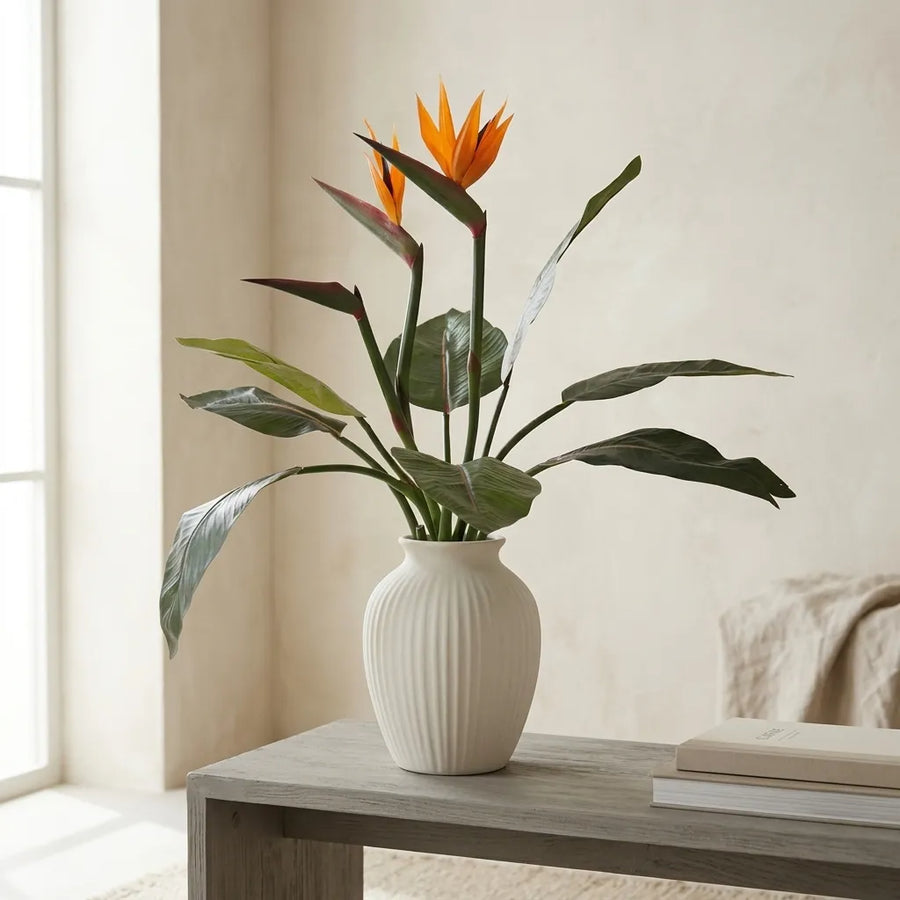 Paradijsvogelplant (Strelitzia)