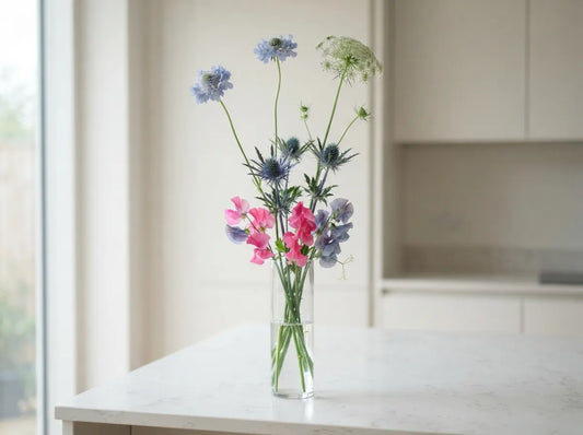 Wild Meadow