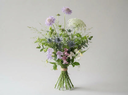 Wild Meadow