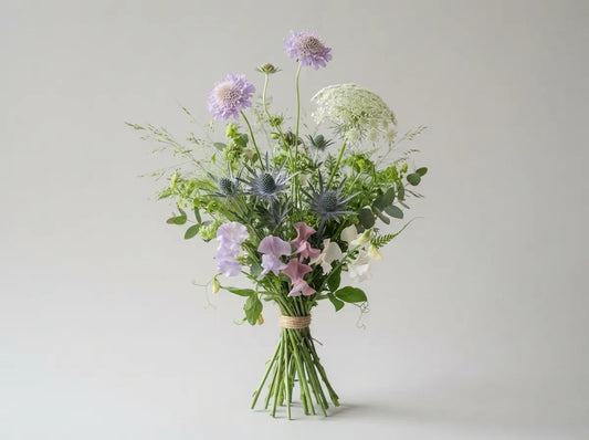Wild Meadow
