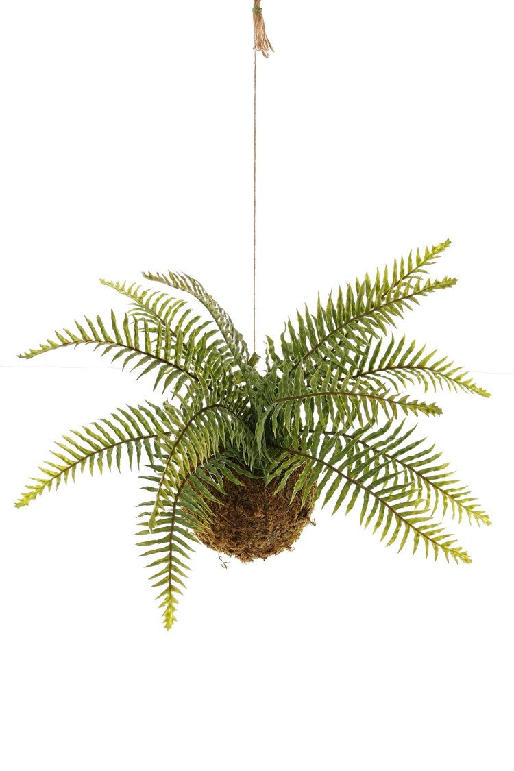 Kokedama Varenhanger