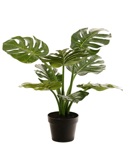 Monstera 'Mai Po' kunstplant
