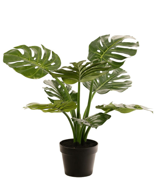 Monstera 'Mai Po' kunstplant