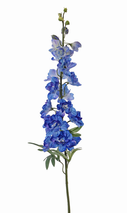 Delphinium (ridderspoor)