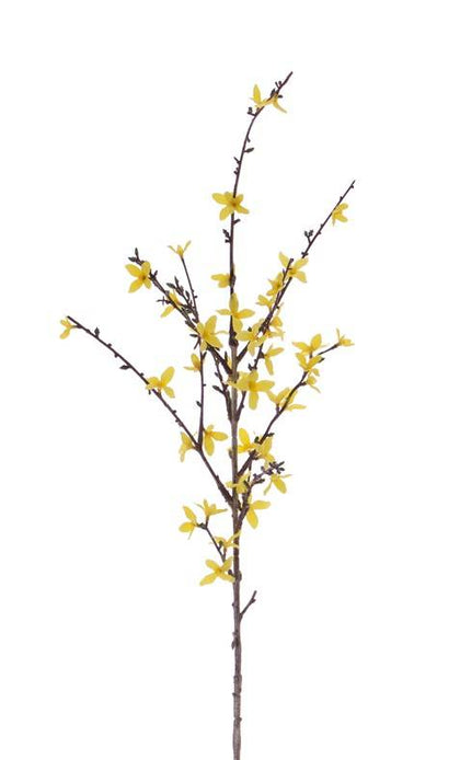 Forsythiatak