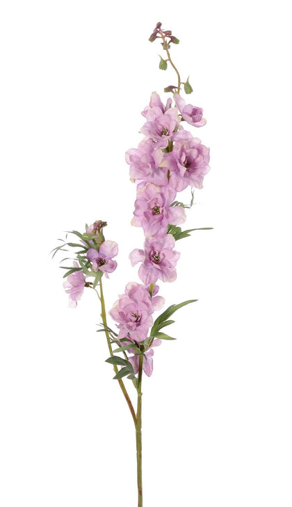 Delphinium (ridderspoor)