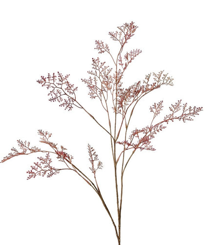 Limonium (zeelavendel)